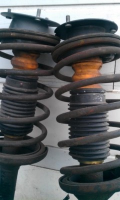 IMAG0567.jpg