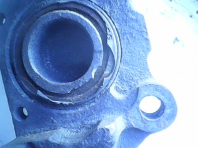 IMG0110A.jpg