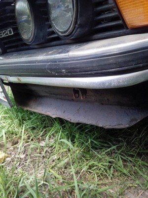 IMG_20130513_122516.jpg