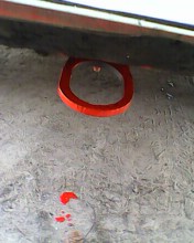 IMG0066A.jpg